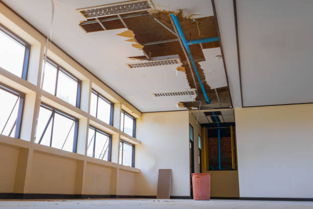 Best Water damage restoration near me  in Sherwood, OH