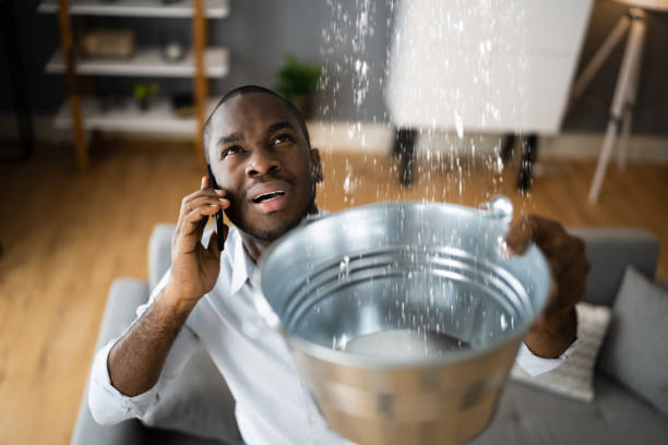 Best Flood restoration services  in Sherwood, OH