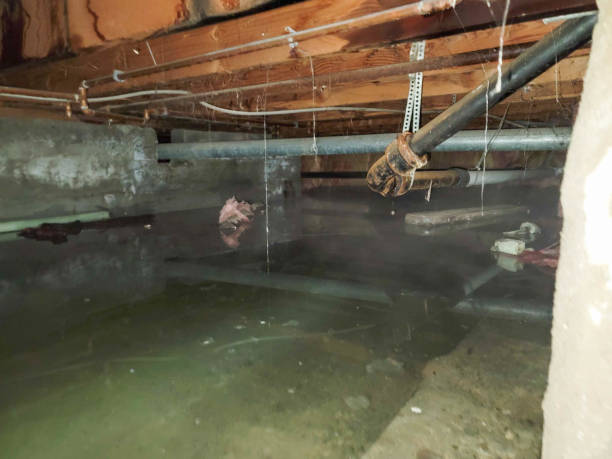 Water damage restoration mold remediation in Sherwood, OH