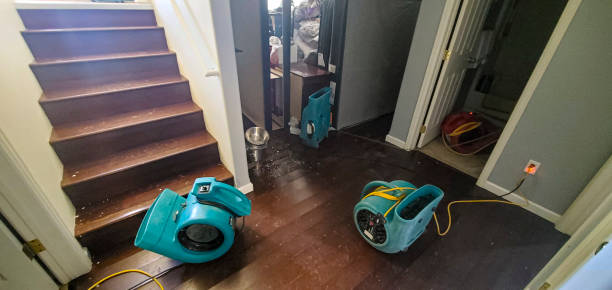 Best Sewage cleanup and water damage restoration  in Sherwood, OH