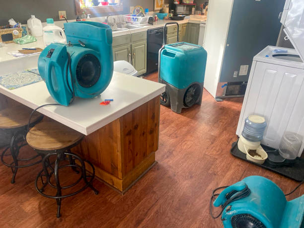 Best Sewage cleanup and water damage restoration  in Sherwood, OH