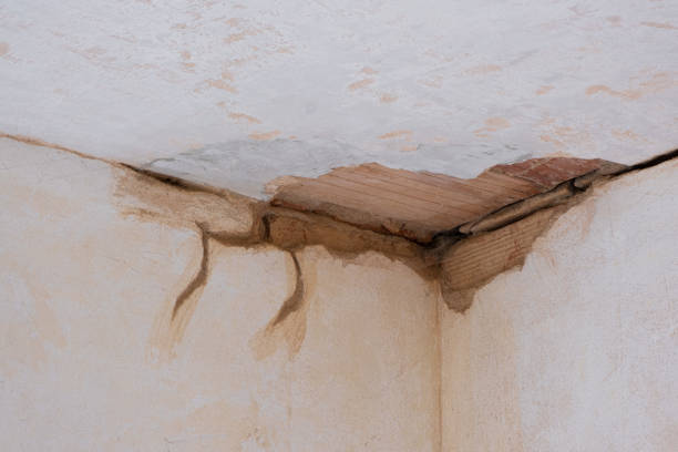  Sherwood, OH Water damage restoration Pros