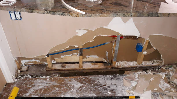 Best Water damage contractors near me  in Sherwood, OH