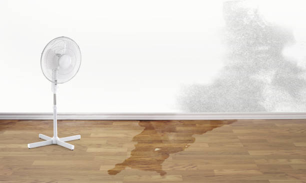 Best Basement water damage restoration  in Sherwood, OH
