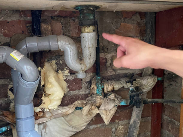 Best Commercial water damage restoration  in Sherwood, OH