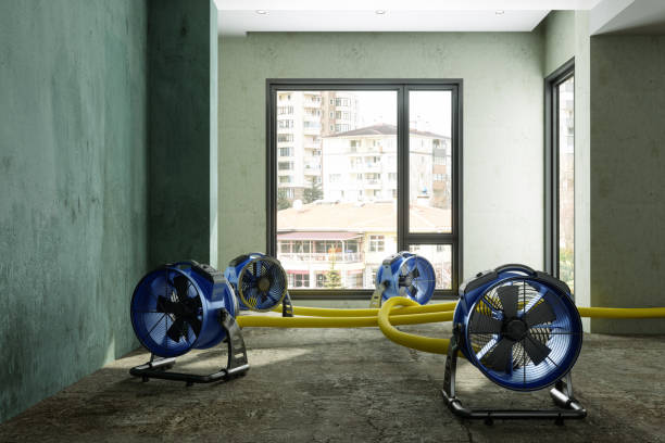 Best Water damage cleanup near me  in Sherwood, OH