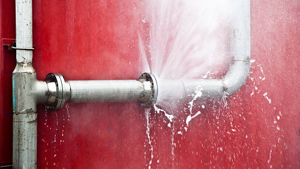 Best Flood damage cleanup  in Sherwood, OH