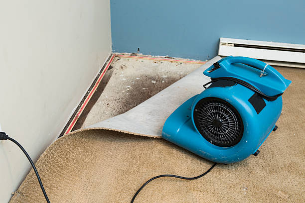 Best Water damage restoration mold remediation  in Sherwood, OH